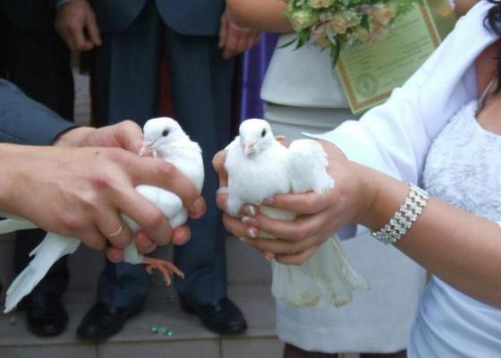 В Татарстане укрепят браки, усложнив процесс развода